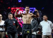 Garuda Fight Championship Series Siap Mengguncang Dunia Olahraga Tinju dan Bela Diri Indonesia